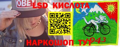 амф Новодвинск