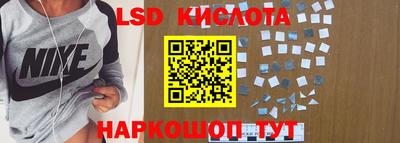 амф Новодвинск
