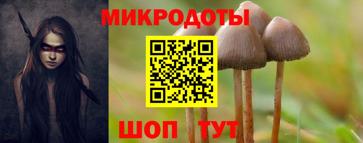 Сургут  Галлюциногенные грибы GOLDEN TEACHER  Вход с VPN  Псилоцибиновые грибы мухоморы 