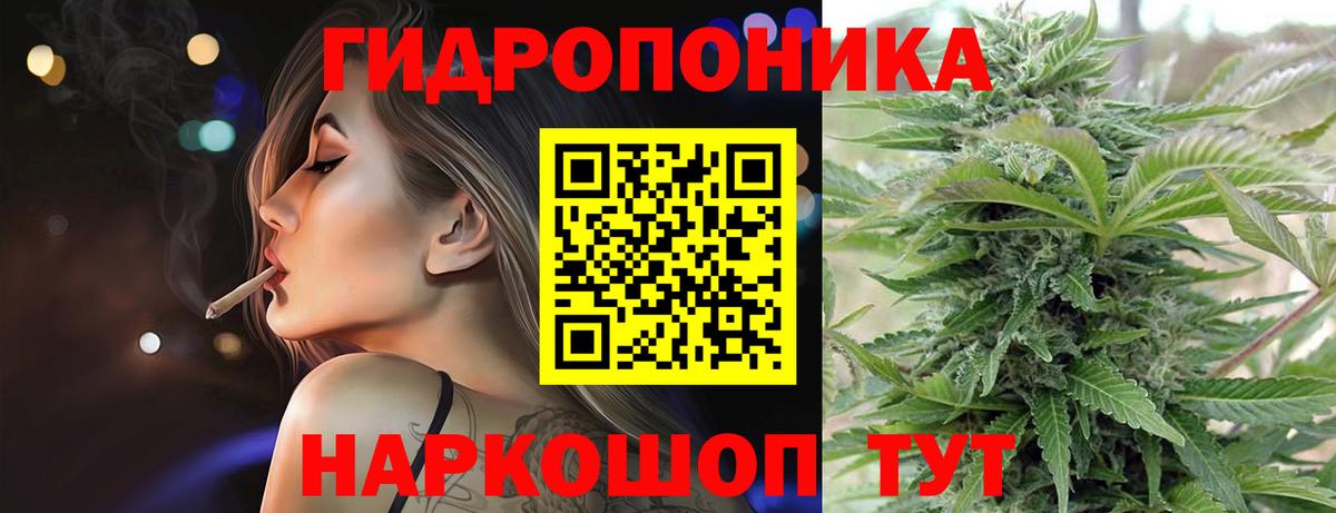 Шишки марихуана семена  Вход с VPN  Шишки марихуана Amnesia  Канабис Amnesia  Сургут  Шишки марихуана тримм 